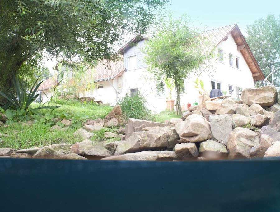 Wald-Apartment Limbach-Oberfrohna Ngoại thất bức ảnh