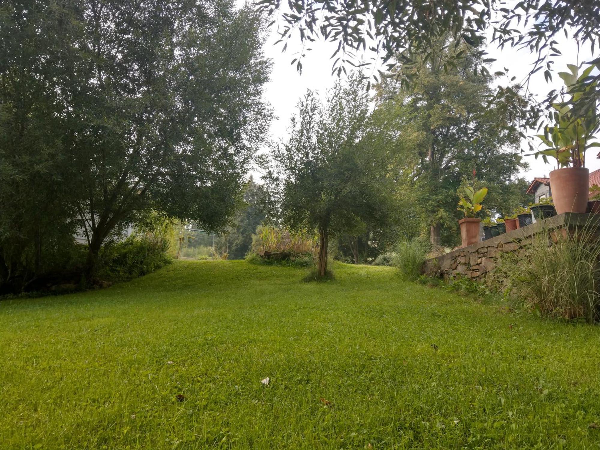 Wald-Apartment Limbach-Oberfrohna Ngoại thất bức ảnh